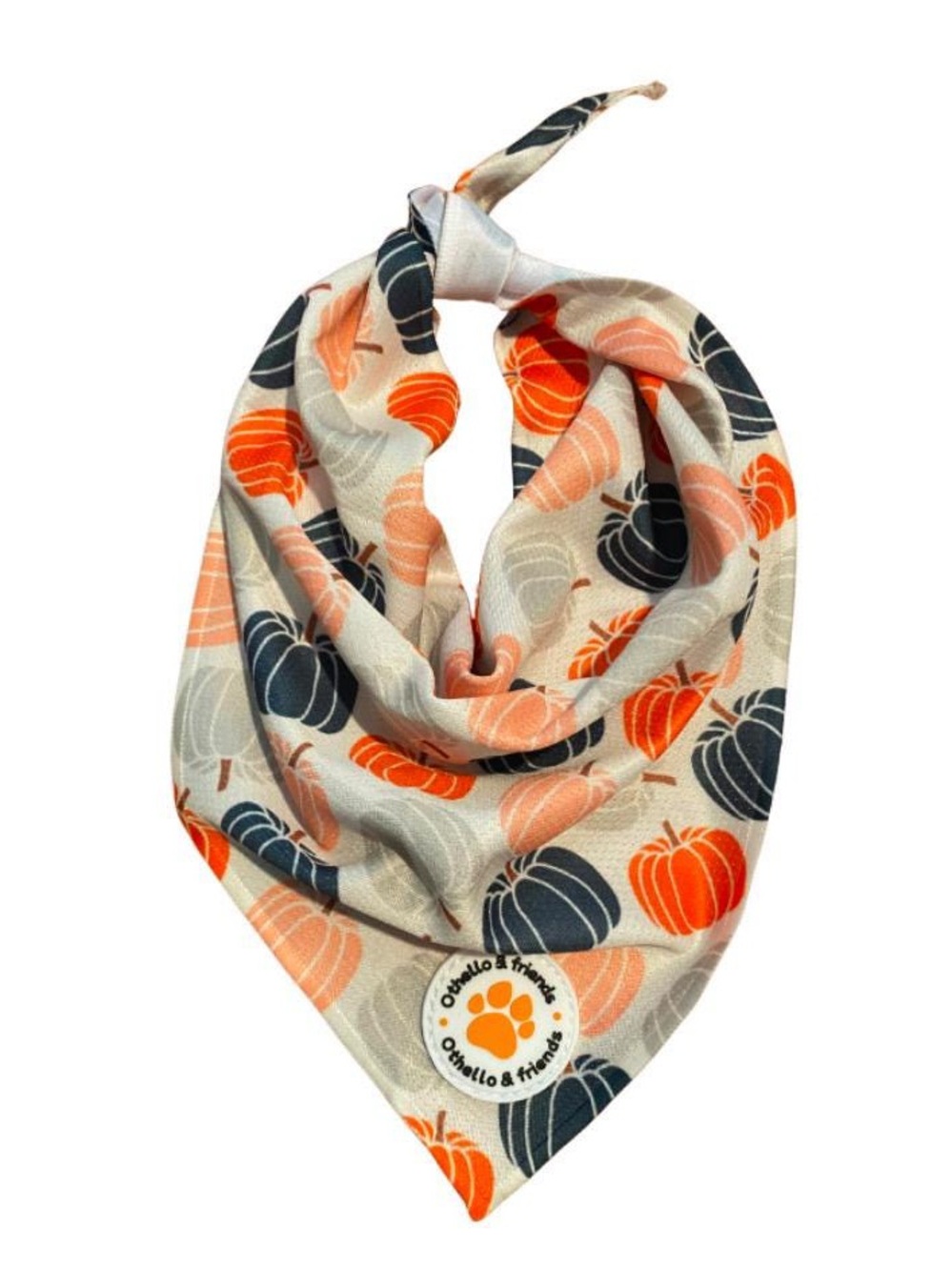 Fall Pumpkin Dog Bandana - Orange & Navy